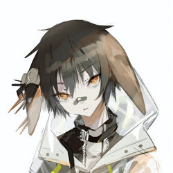This is a pixiv picture whose title is エアースカーペ.