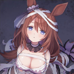 This is a pixiv picture whose title is 囚われのマミー.