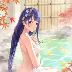 This is a pixiv picture whose title is 温泉将軍.