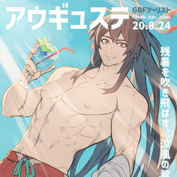 This is a pixiv picture whose title is 涼風の鷲王.