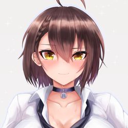 This is a pixiv picture whose title is ボルチモア.