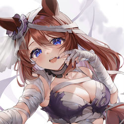 This is a pixiv picture whose title is ハロウィンスーパークリーク.