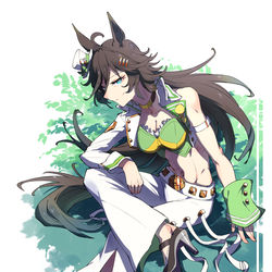 This is a pixiv picture whose title is 天馬2世.