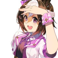 This is a pixiv picture whose title is チームスピカ.