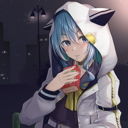 This is a pixiv picture whose title is 夜を歩く.