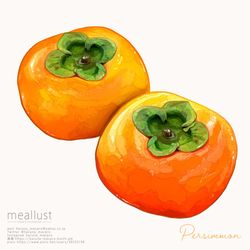 This is a pixiv picture whose title is Persimmon.
