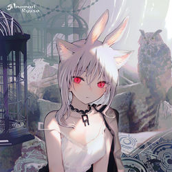 This is a pixiv picture whose title is 拾い者.