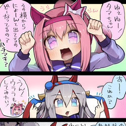 This is a pixiv picture whose title is タマちゃんの秘密５コマ.