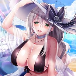 This is a pixiv picture whose title is アクィラ　浅瀬のホリデーサディア.