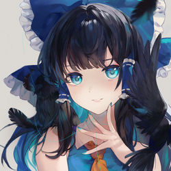 This is a pixiv picture whose title is 鴉.