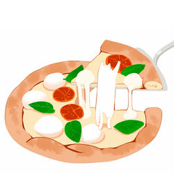 This is a pixiv picture whose title is ピザキャット.