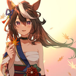 This is a pixiv picture whose title is 和装シンボリルドルフ.