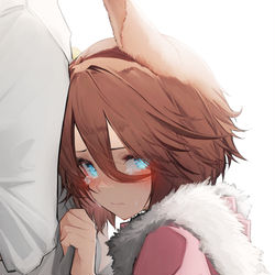 This is a pixiv picture whose title is ナリタタイシン.
