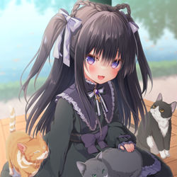 This is a pixiv picture whose title is 黒猫ロリータちゃん.