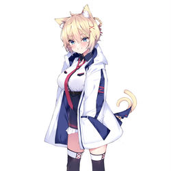 This is a pixiv picture whose title is ねこ.
