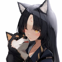 This is a pixiv picture whose title is サガ.