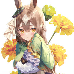 This is a pixiv picture whose title is サトノダイヤモンド.