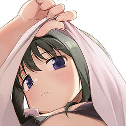 This is a pixiv picture whose title is 暁美ほむら.