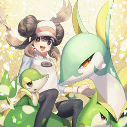 This is a pixiv picture whose title is ポケットモンスターBW2　メイ　ジャローダ一家.