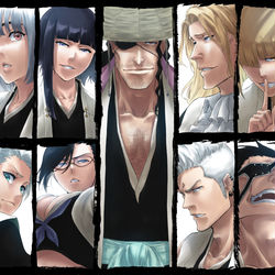 This is a pixiv picture whose title is 護廷十三隊隊長.