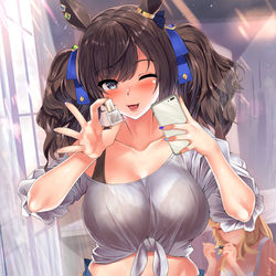This is a pixiv picture whose title is トーセンジョウダン.