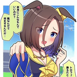 This is a pixiv picture whose title is レジェンドレースの真の報酬.