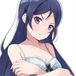 This is a pixiv picture whose title is 新垣あやせ.