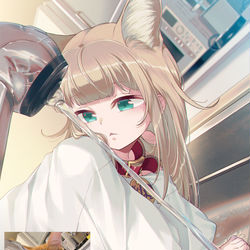 This is a pixiv picture whose title is キッチンを満喫するきなこ🚿🐈.