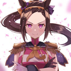 This is a pixiv picture whose title is 驀進王.