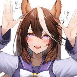 This is a pixiv picture whose title is シンボリルドルフ.