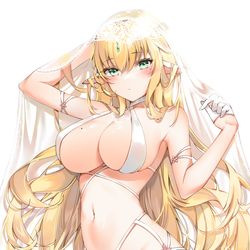 This is a pixiv picture whose title is エルフ.