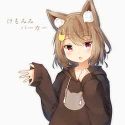 This is a pixiv picture whose title is 【応募作品】けもみみパーカー.