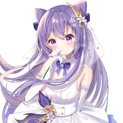 This is a pixiv picture whose title is 更新~刻晴生日快乐.