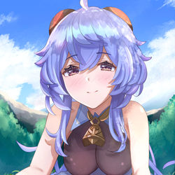 This is a pixiv picture whose title is 「旅人さん、私はあなたのこと。。。」.