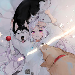 This is a pixiv picture whose title is 犬.