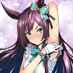 This is a pixiv picture whose title is トレーナーの視線が気になるドーベル.