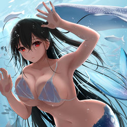 This is a pixiv picture whose title is 大鳳を飼う水族館.