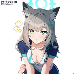 This is a pixiv picture whose title is Shiroko.