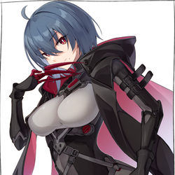 This is a pixiv picture whose title is ワタリガラス.