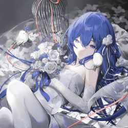 This is a pixiv picture whose title is special day.