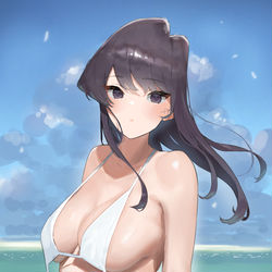 This is a pixiv picture whose title is komi.