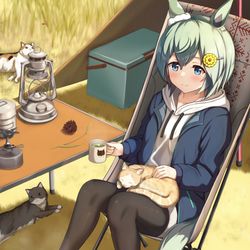 This is a pixiv picture whose title is 秋のセイちゃんキャンプ.