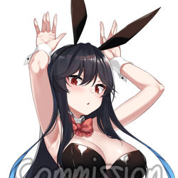 This is a pixiv picture whose title is コミッション.