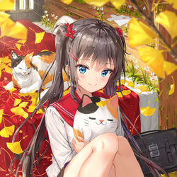 This is a pixiv picture whose title is 独り占め.