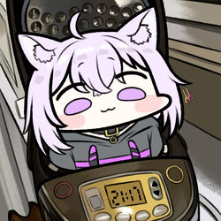 This is a pixiv picture whose title is 猫又おかゆ.