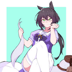 This is a pixiv picture whose title is キンイロリョテイ.