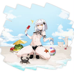 This is a pixiv picture whose title is 🐱.