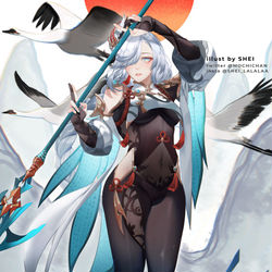 This is a pixiv picture whose title is ShenHe.