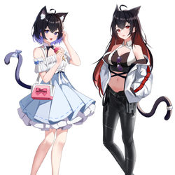 This is a pixiv picture whose title is 双希.