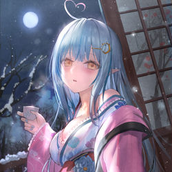 This is a pixiv picture whose title is 雪夜月.